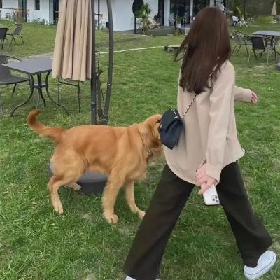 爸妈麦来乱